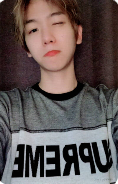 边伯贤五辑《don't mess up my tempo》小卡扫图