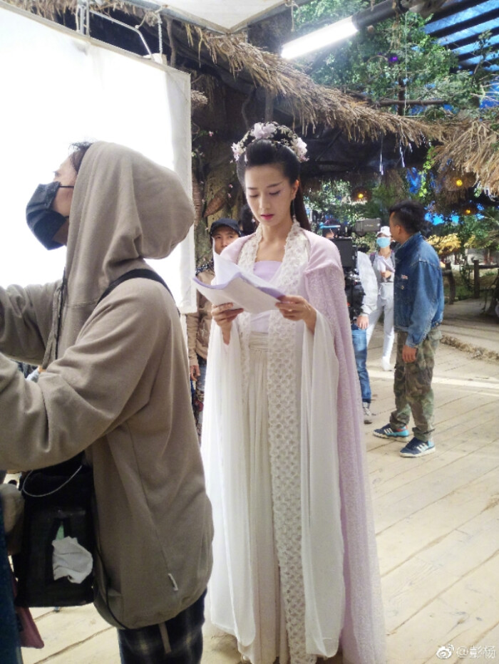定制 雨墨丹青影视古装--香蜜沉沉烬如霜长芳主紫白色