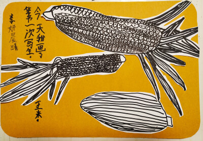 写生玉米儿童画