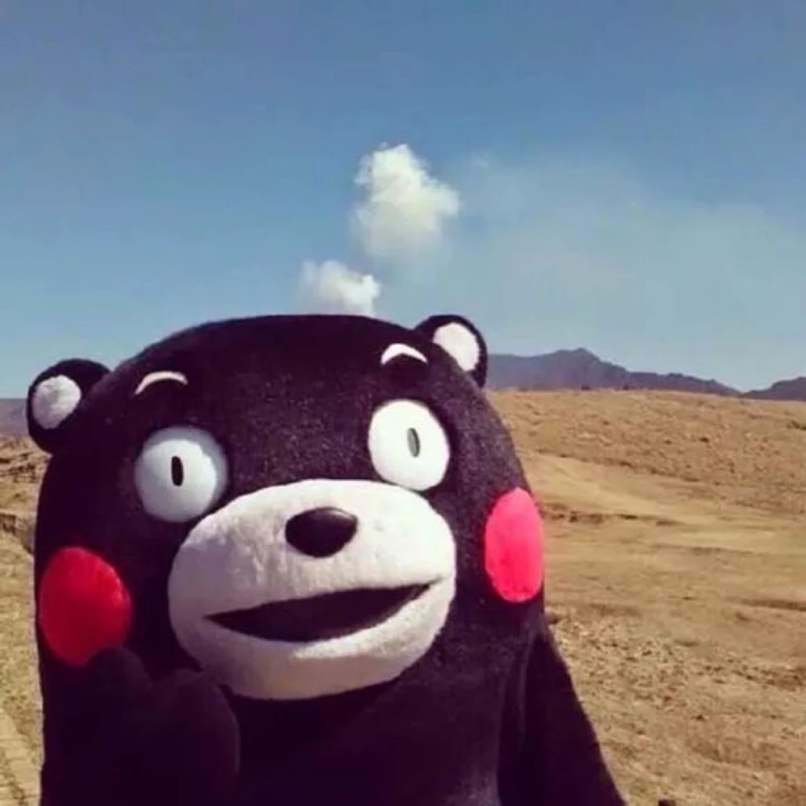 熊本熊QQ头像图片