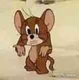 猫和老鼠表情包