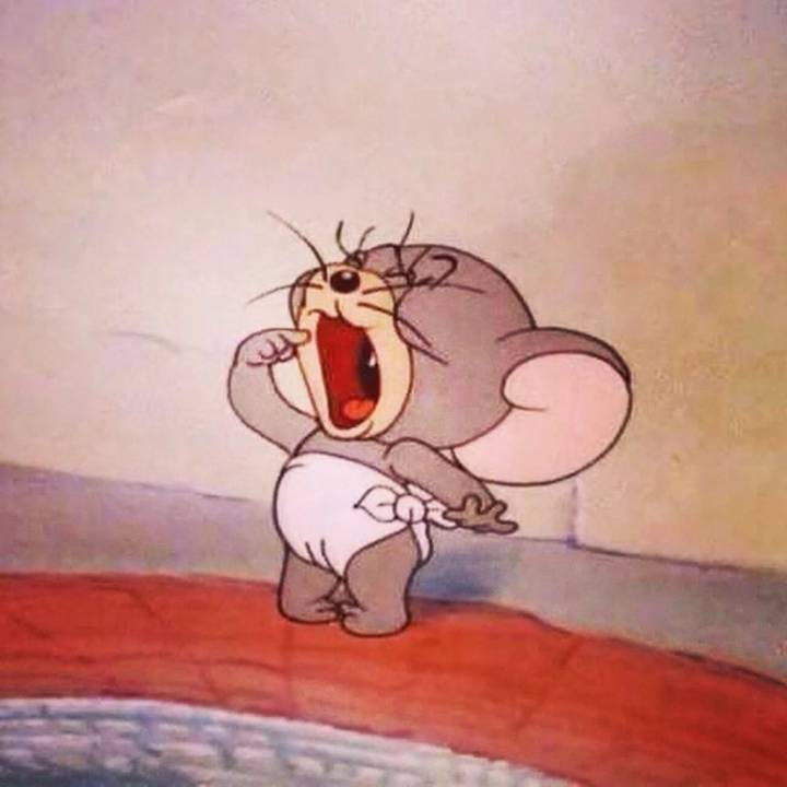猫和老鼠寝室四人组头像