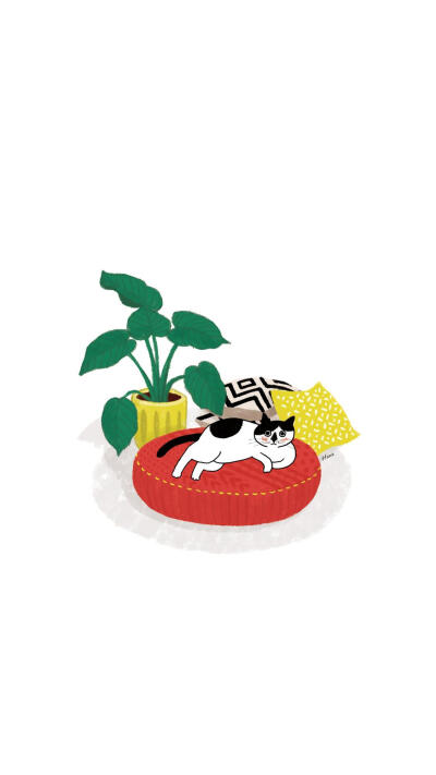 简简单单壁纸猫咪壁纸