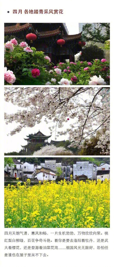 【最佳旅行时间表】一月哈尔滨,二月海南,三月江南,四月各地踏青赏花