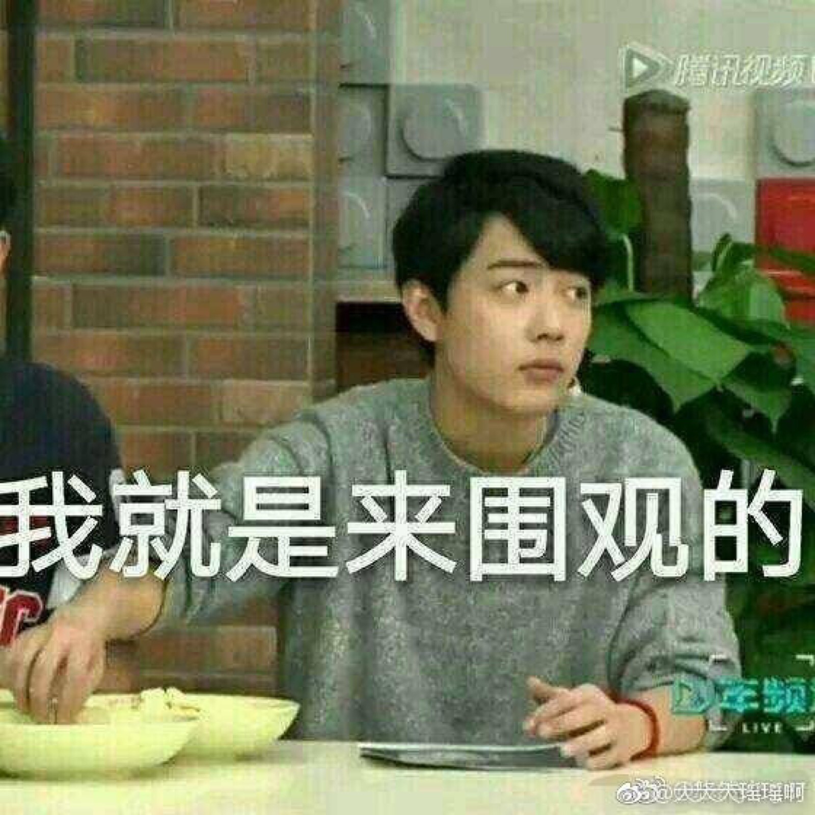 肖战表情包