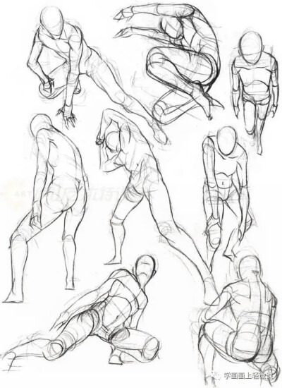 人体动作结构教学