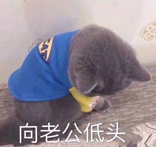 撩男朋友表情包