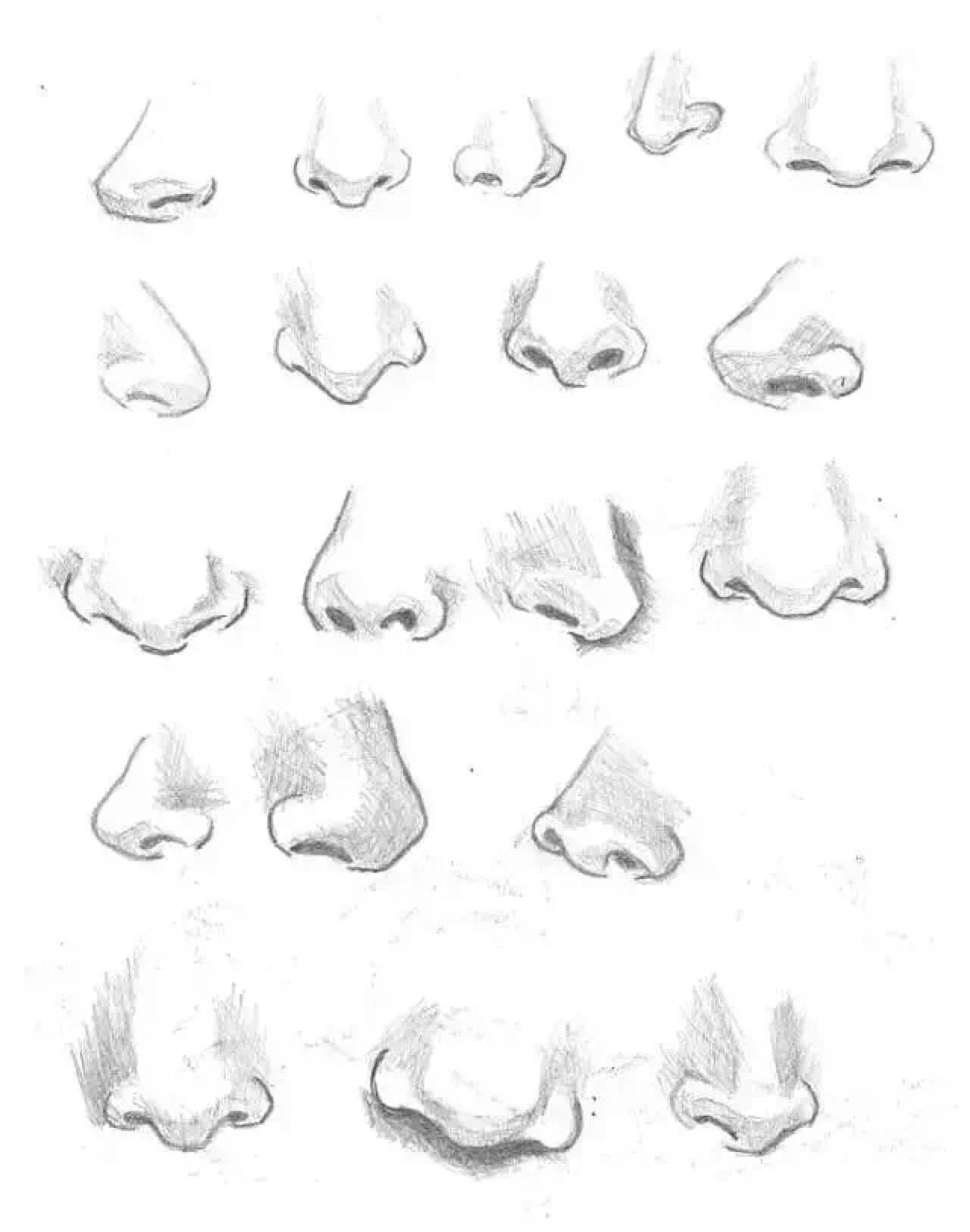 鼻子简单画法图片