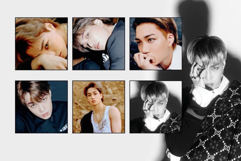 五辑exotempo676767