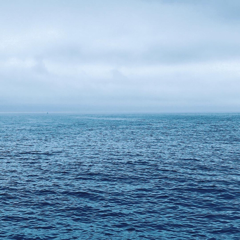 海_背景 by: 摄影susana antunes