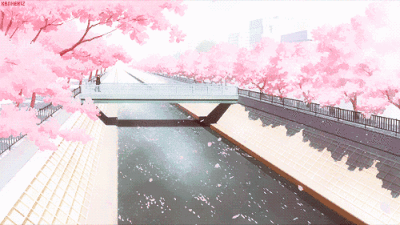 樱花壁纸高清动态图片