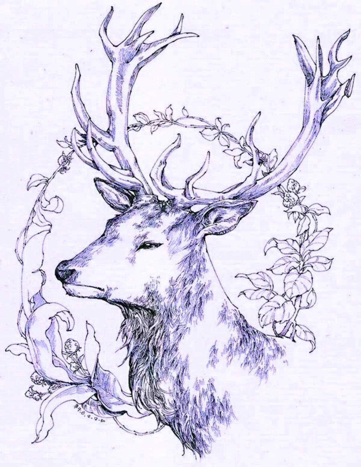 麋鹿手绘铅笔画图片