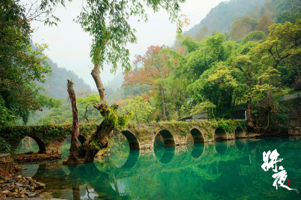 将夜美景图片