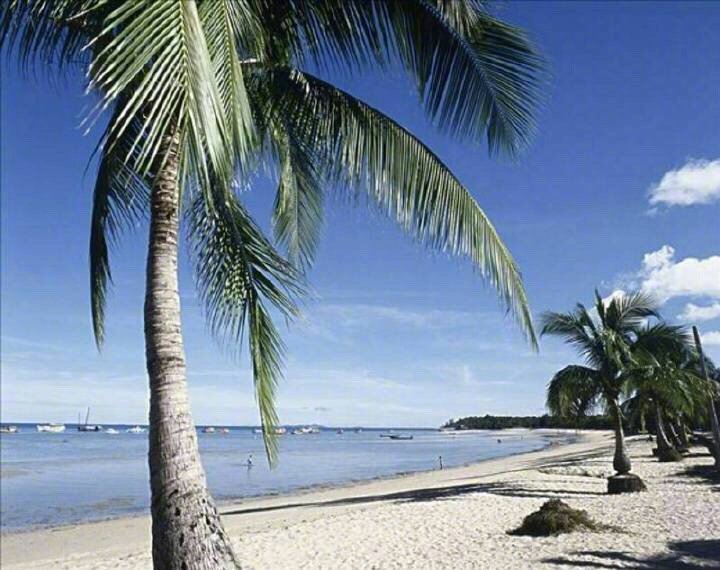 【泰国-沙巴 芭提雅 阳光热辣辣 香瓜 啤酒花 风景美如画