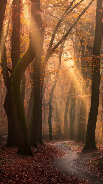 荷兰的风景 - 堆糖,美图壁纸兴趣社区