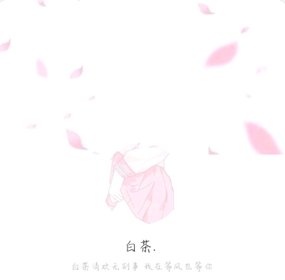 白茶清欢无别事我在等风也等你背景图