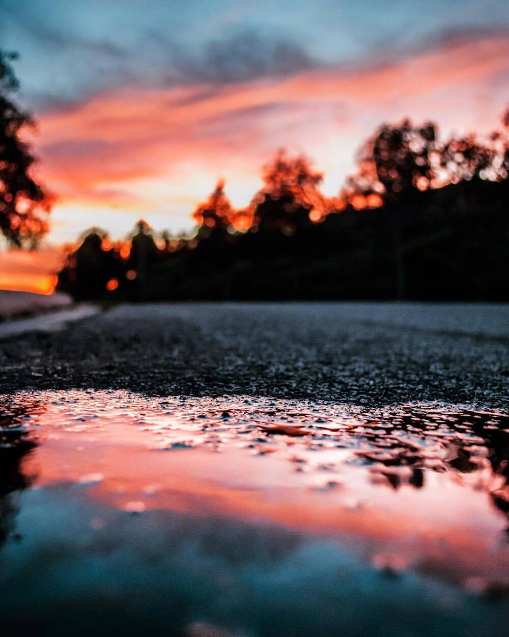 加州的日落时分insthenoahbaker