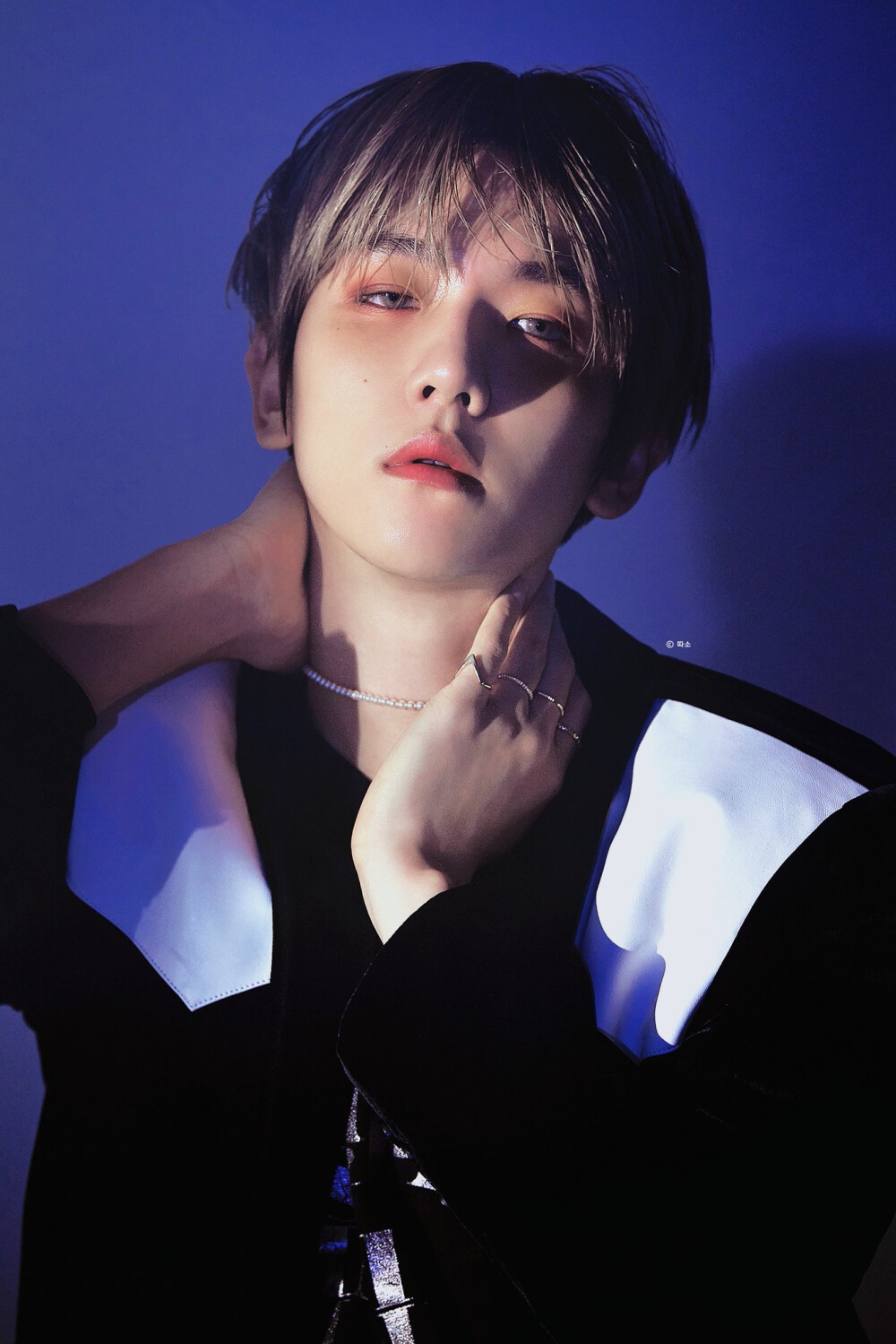 边伯贤 白贤 exo cr:warm_garcon - 堆糖,美图壁纸兴趣社区