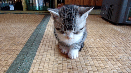 刚睡醒的你#日常懵逼