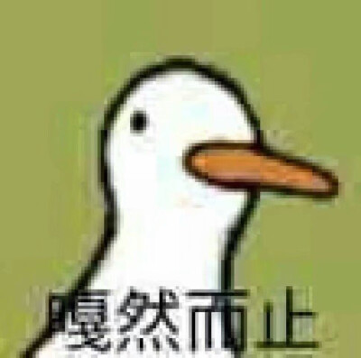 鸭子表情包