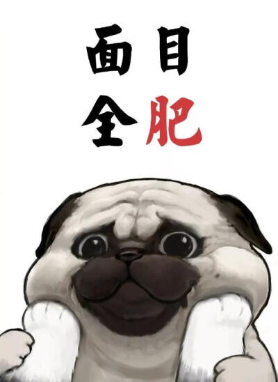 吾皇万岁情头