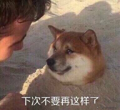 动物表情包 搞笑 可爱