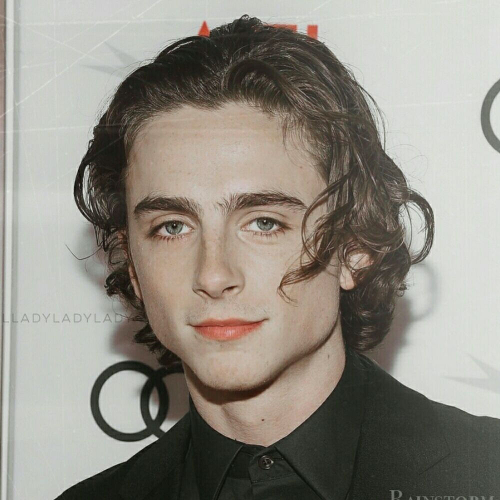 蒂莫西·柴勒梅德timothéechalamet(请以你的名字呼唤我)蒂莫西·柴