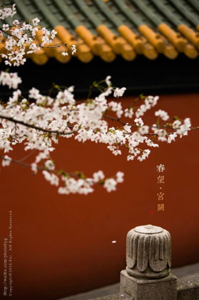 故宫壁纸 拿图点赞白雪镶红墙,碎玉坠琼芳