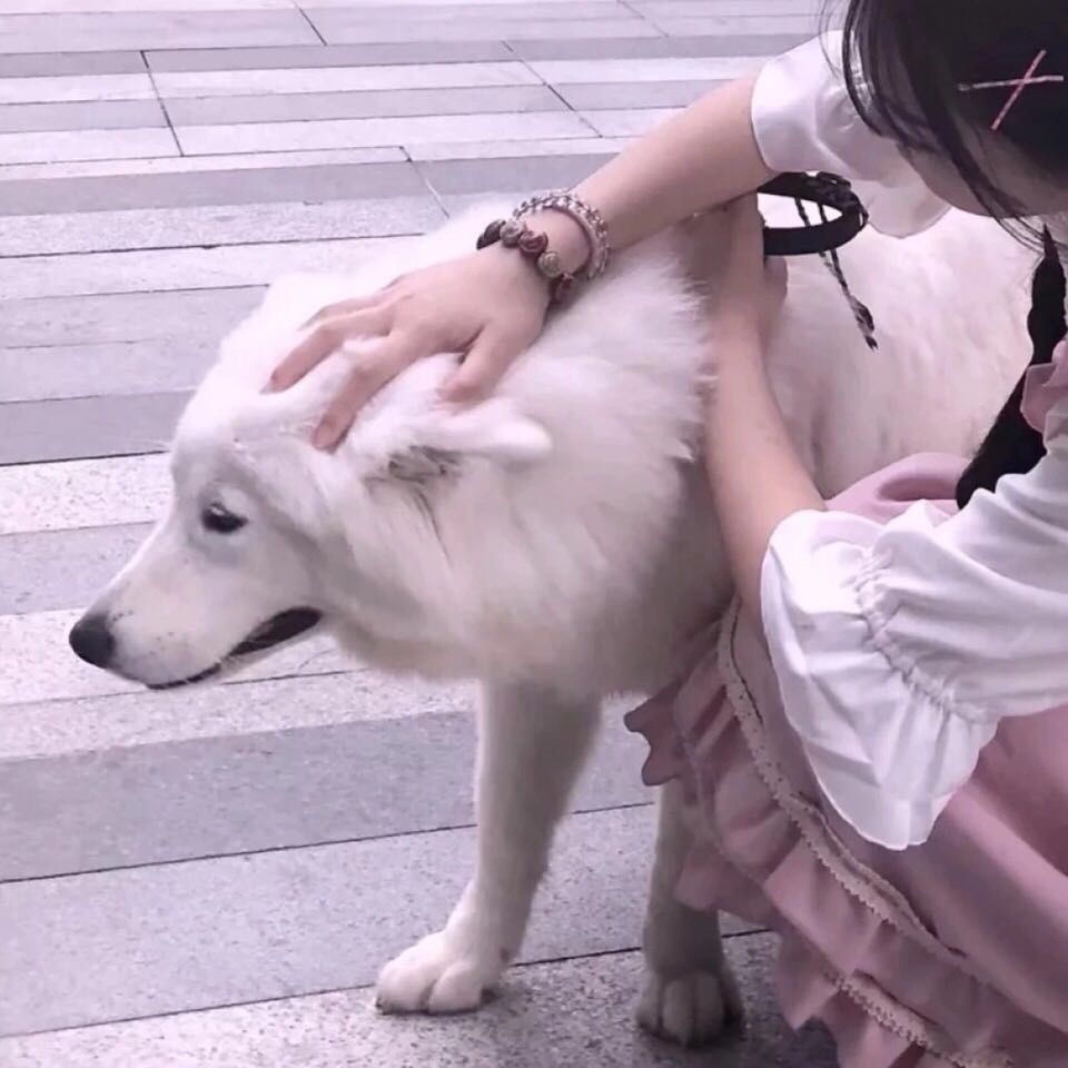 情头情侣头像