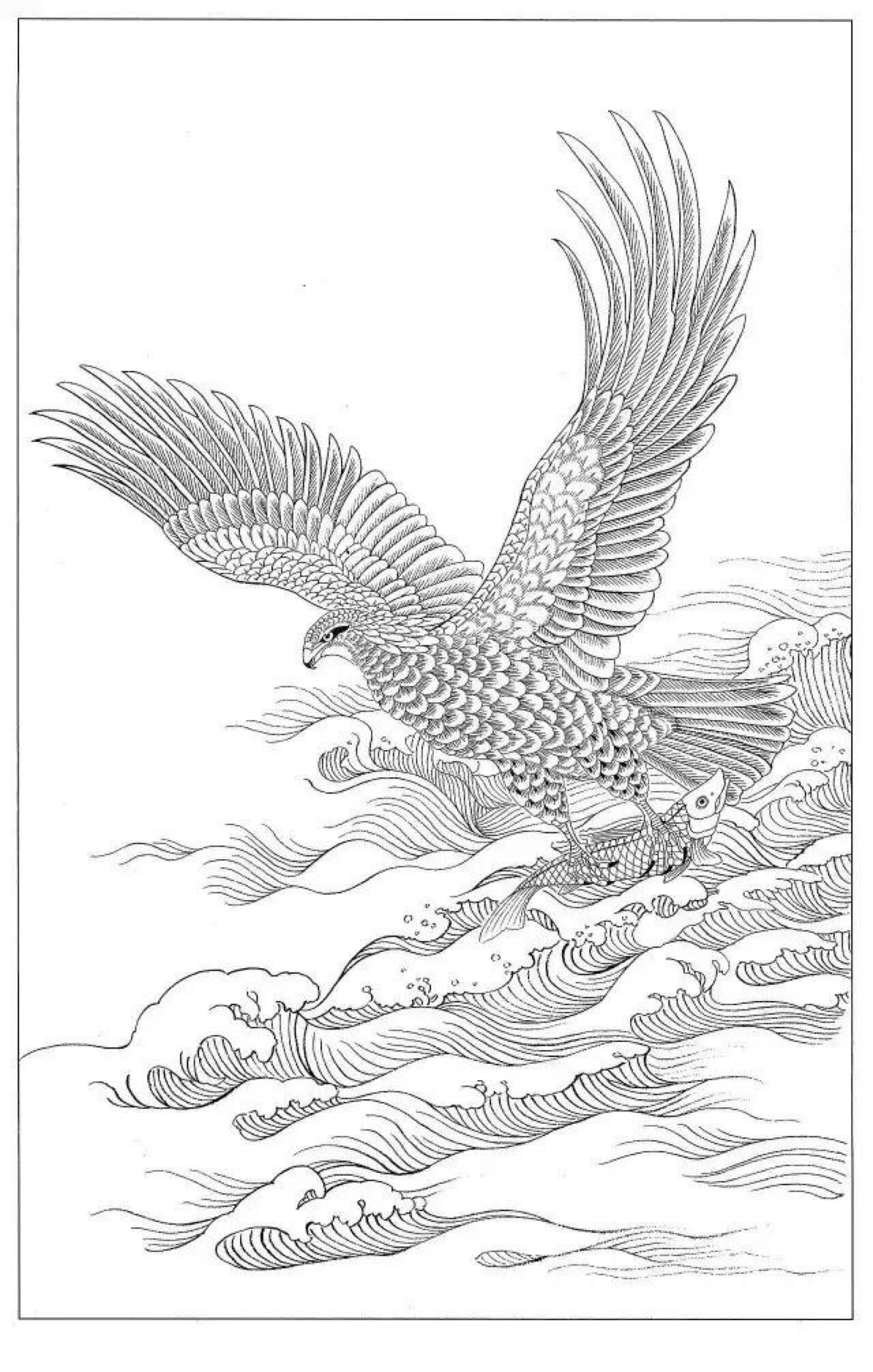 老鹰的画法威武图片
