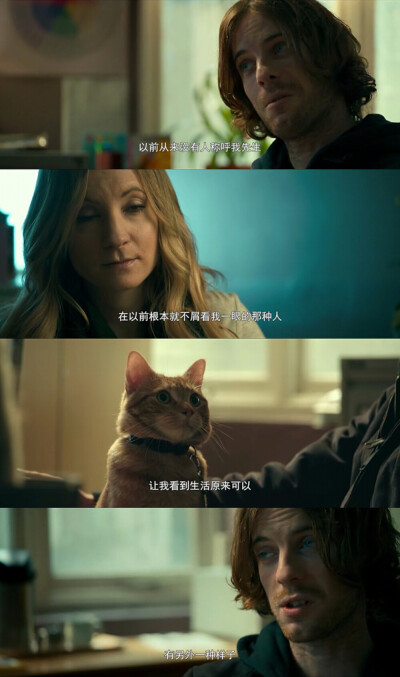 流浪猫鲍勃台词 堆糖,美图壁纸兴趣社区