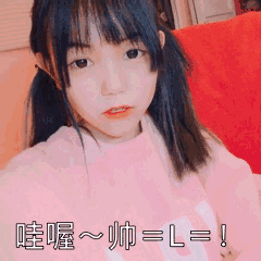 封茗囧菌
