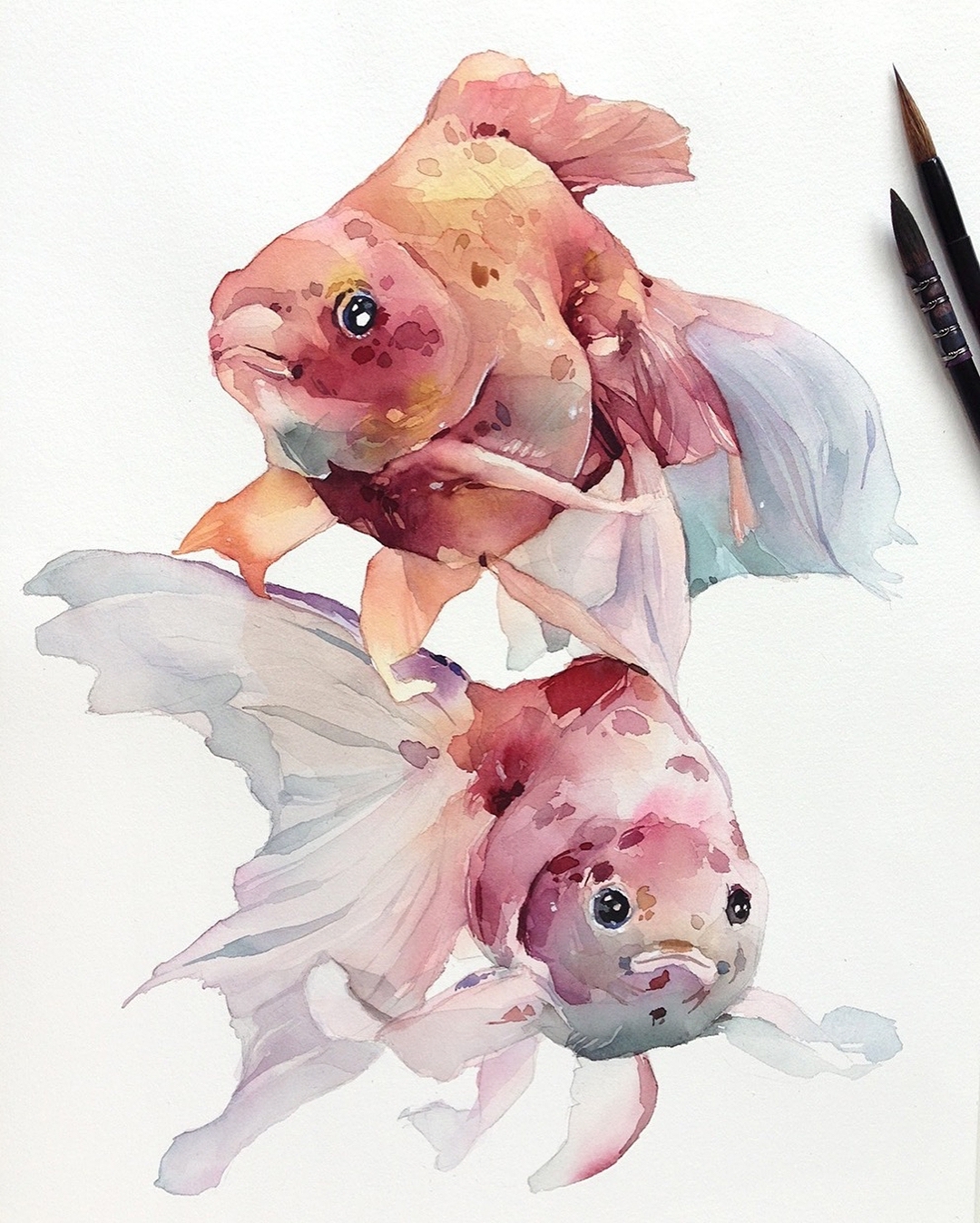 水彩 动物绘画 鱼 插画师ins@kadantseva