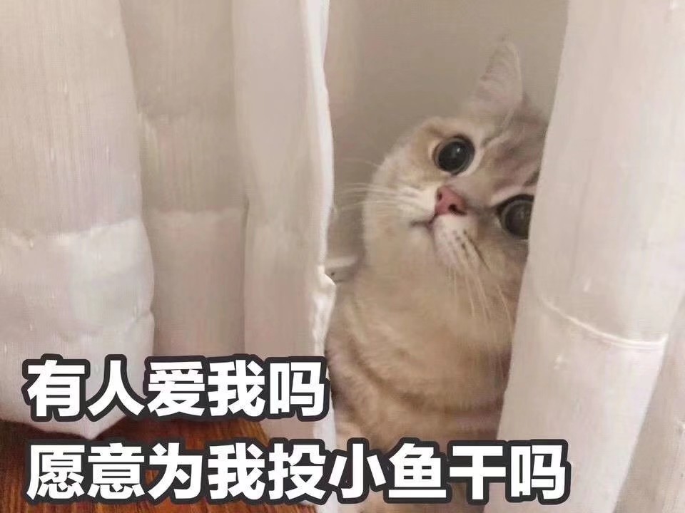 高清/熊猫头/猫咪/截图表情/可爱/卖萌/套路/柴犬/沙雕/斗图/小表情