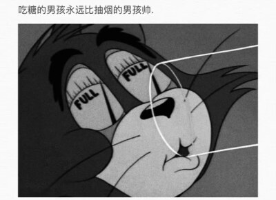 猫和老鼠