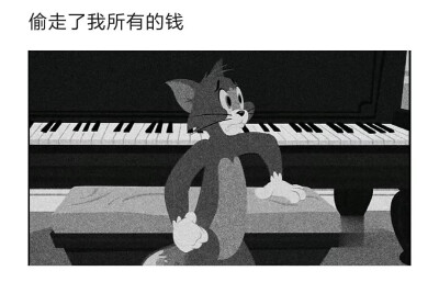猫和老鼠