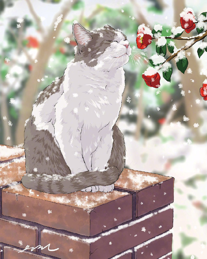 来自插画师笔下的喵星人,超治愈.