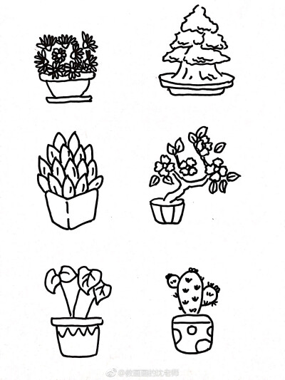 手绘植物简笔画组合图片