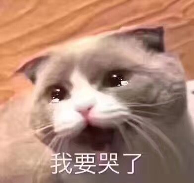 猫咪表情包微信哭