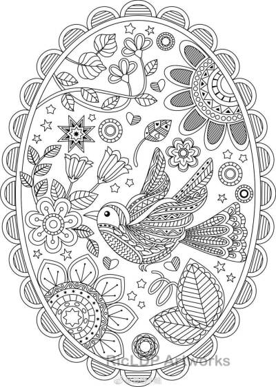 线描小鸟