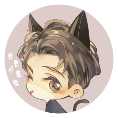【sci谜案集】——耳雅展昭