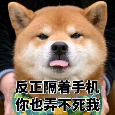 剑三聊天表情包