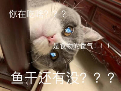 单身冠军
