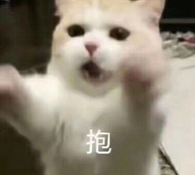 晚安玛卡巴卡
