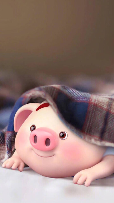 2019 猪年大吉找了一堆猪宝宝壁纸