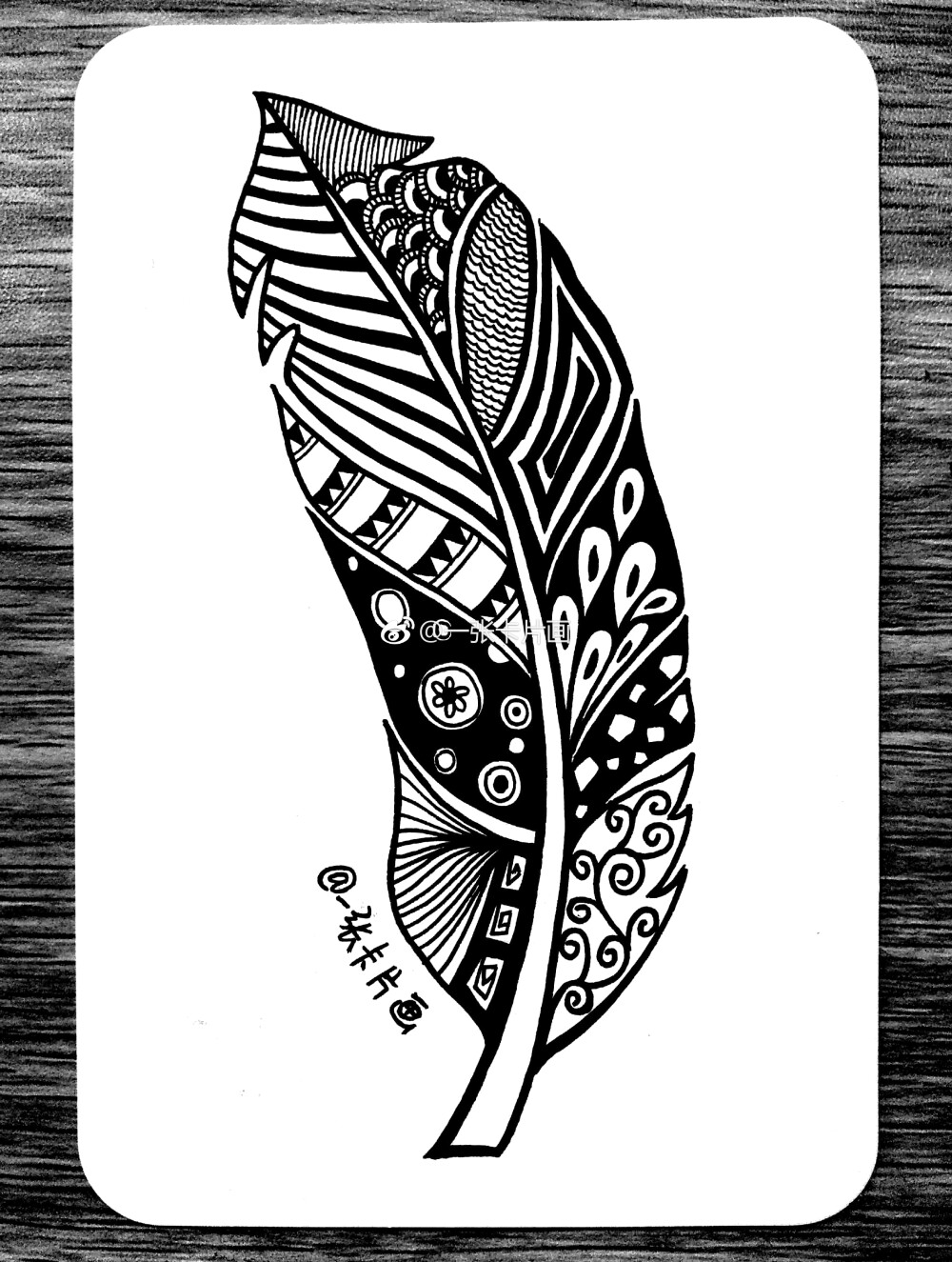黑白插画羽毛作者一张卡片画