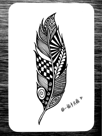 黑白插画# 羽毛. 作者: 一张卡片画
