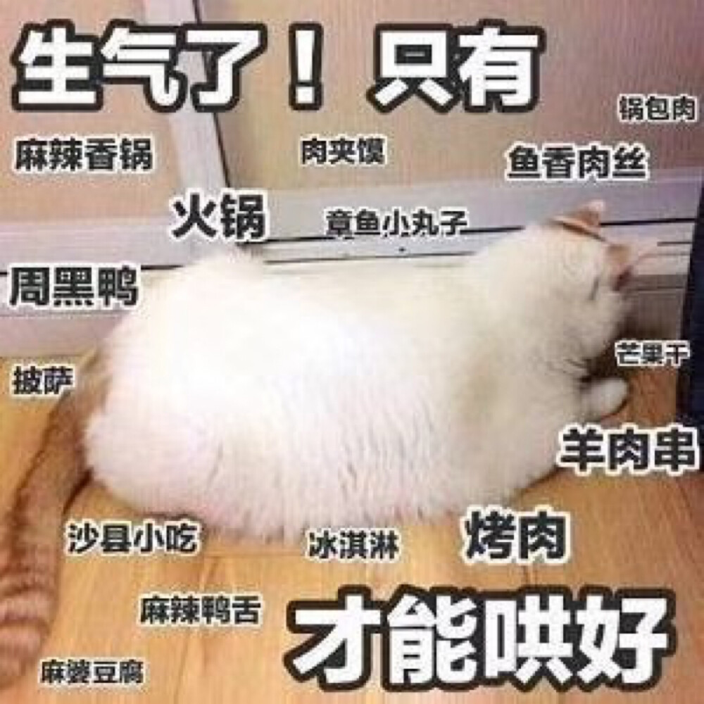 朋友圈图片 搞笑图片
