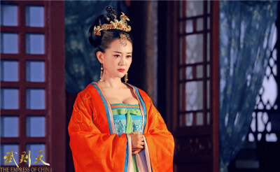 张定涵《武媚娘传奇》郑婉言(长孙皇后)