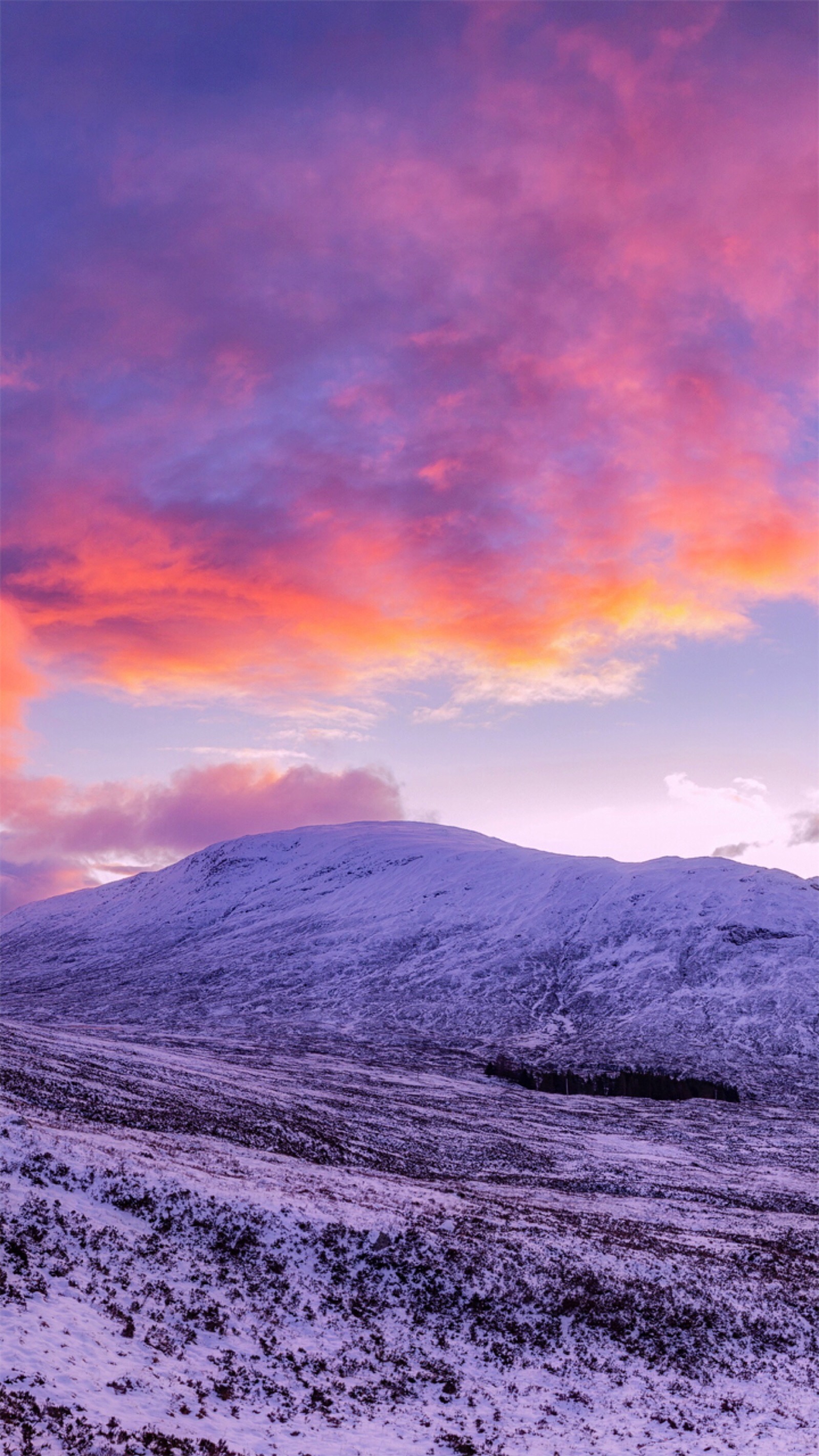 野洵 天空 粉色壁纸喜收藏 禁二传.